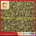 Best Quality for Export Snow White Pumpkin Seeds AAA